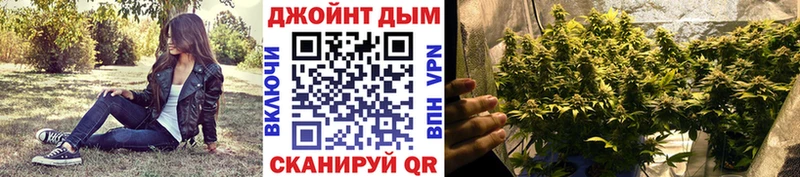 Бошки Шишки AK-47  где можно купить   Дмитров 